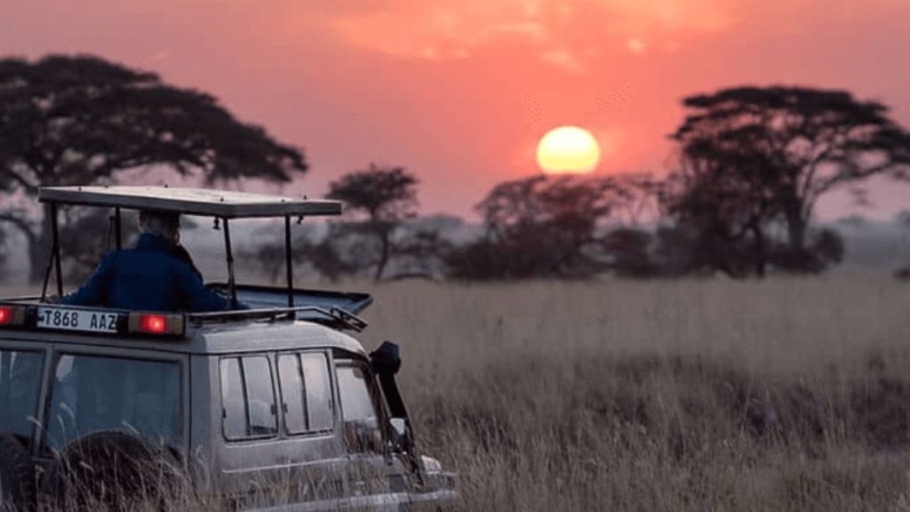 Kruger National Park